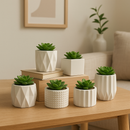 Kit Vasos Decorativos de Gesso Detalhado para Plantas - PAGUE 1 LEVE 2