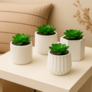 Kit Vasos Decorativos de Gesso Detalhado para Plantas - PAGUE 1 LEVE 2