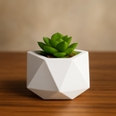 Kit Vasos Decorativos de Gesso Detalhado para Plantas - PAGUE 1 LEVE 2