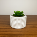 Kit Vasos Decorativos de Gesso Detalhado para Plantas - PAGUE 1 LEVE 2