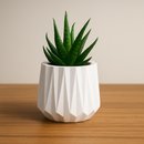 Kit Vasos Decorativos de Gesso Detalhado para Plantas - PAGUE 1 LEVE 2