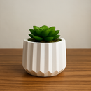 Kit Vasos Decorativos de Gesso Detalhado para Plantas - PAGUE 1 LEVE 2