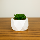 Kit Vasos Decorativos de Gesso Detalhado para Plantas - PAGUE 1 LEVE 2