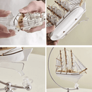 Globo Terrestre Transparente Decoração de Sala