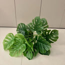 Costela de Adão Artificial - 18 Folhas